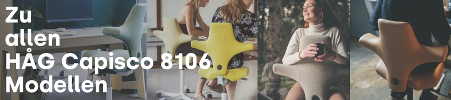 Banner_Alle_8106_Capisco_Modelle_(1)